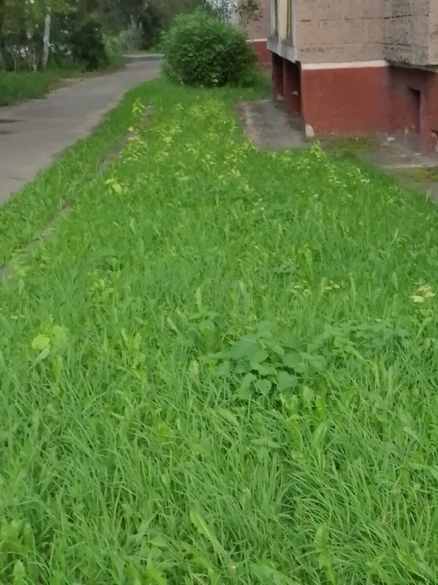 Осень пробивается..