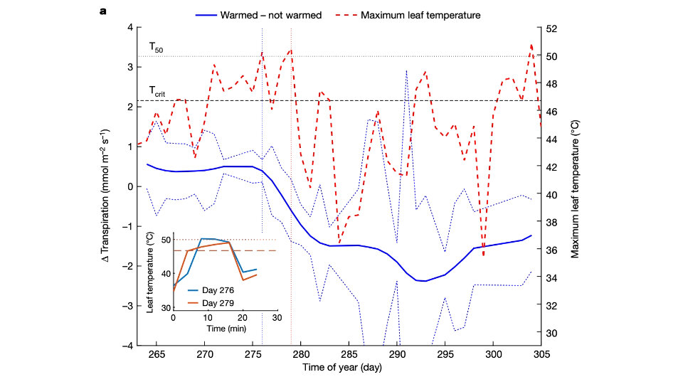   Christopher Doughty et al. / Nature, 2023