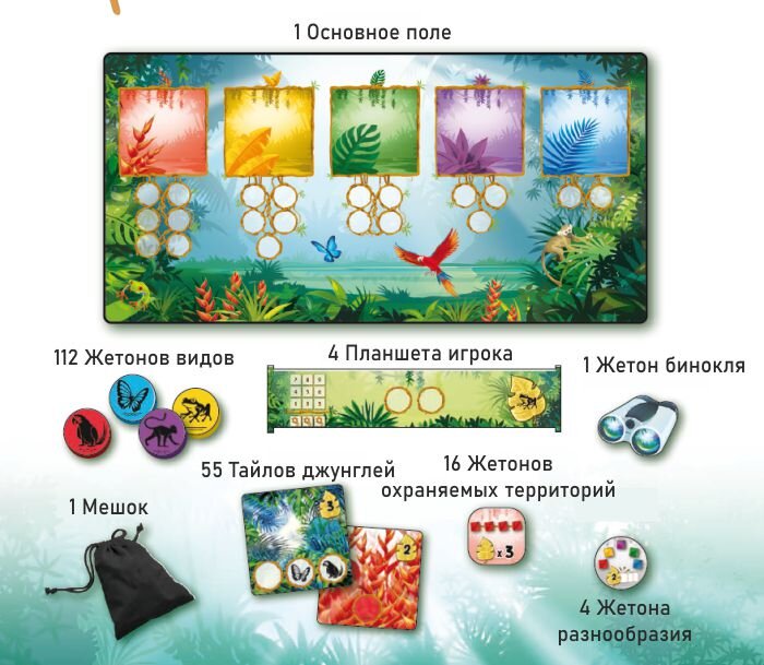 Компоненты игры Rainforest: Тропический Лес