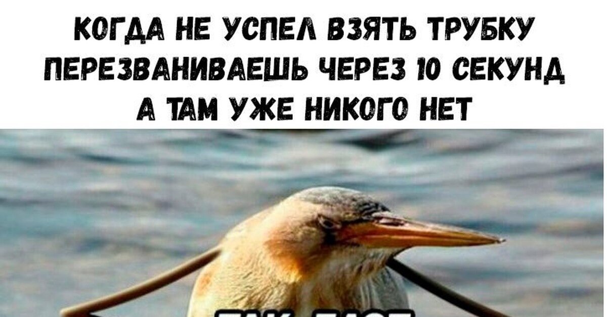 мем из яндекс картинок