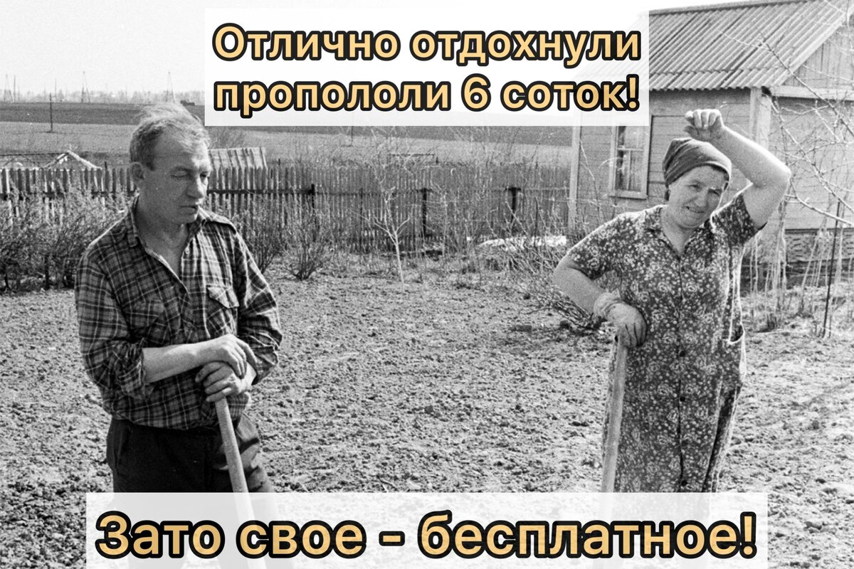 Мыть пакетики