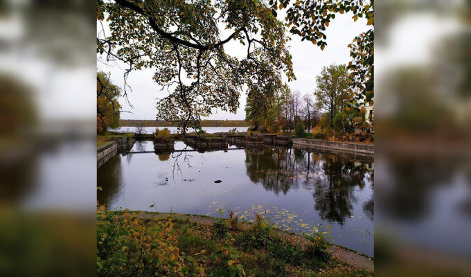 Фото: telegram.org / Админка Ленобласти