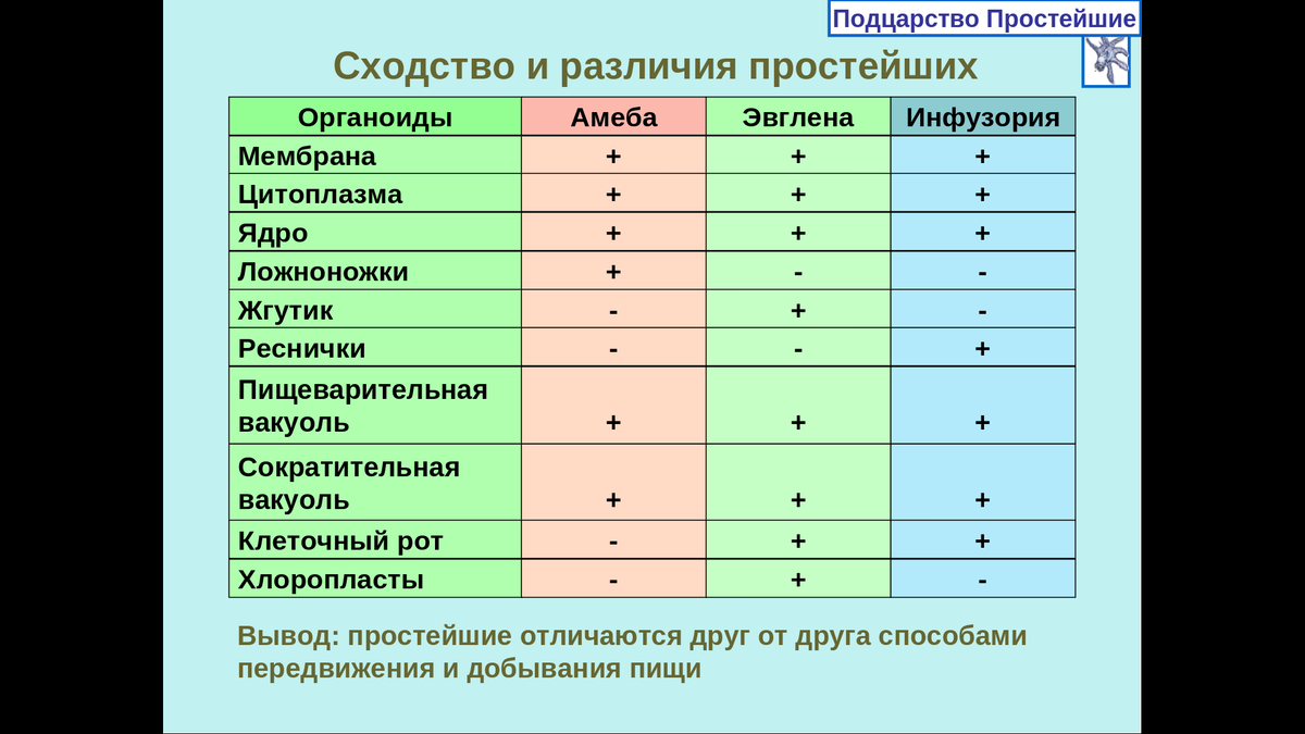 Поведение простейших