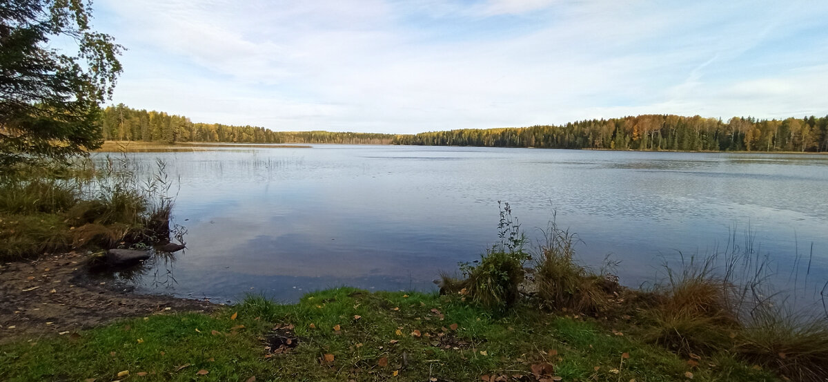 Наше озеро за дачей прекрасно в любое время года.
