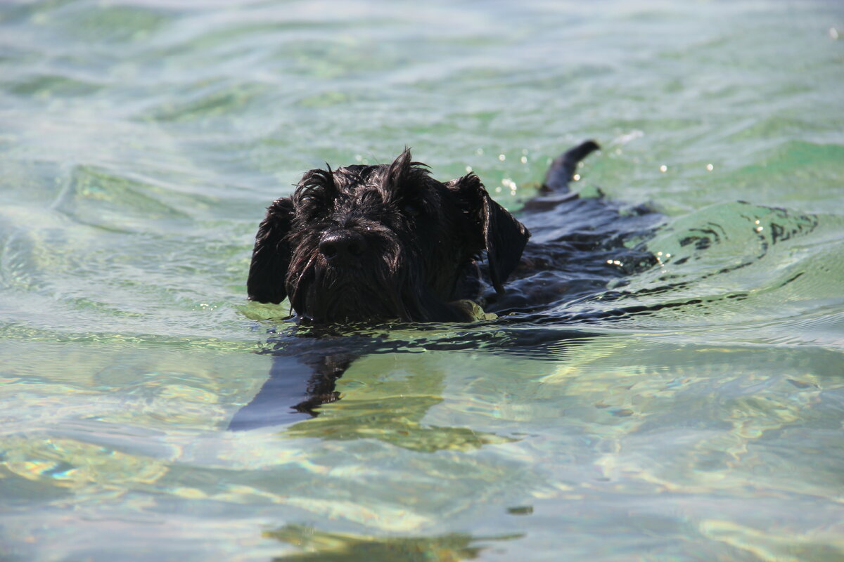 Зыплыв в Эгейском море