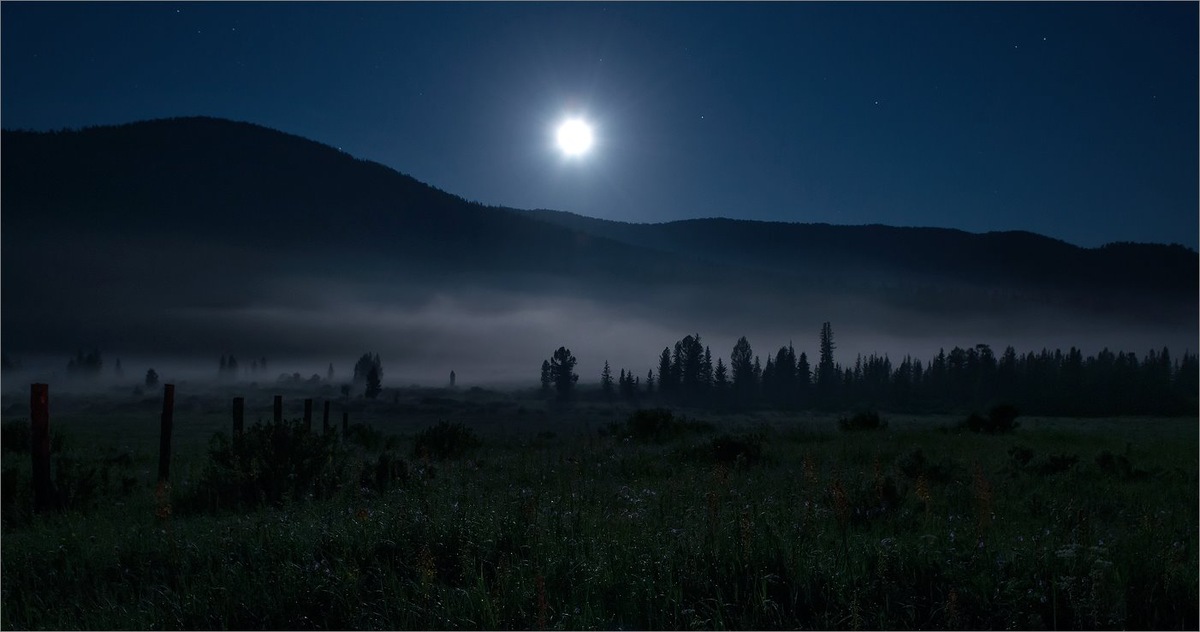 фото Закира Умарова