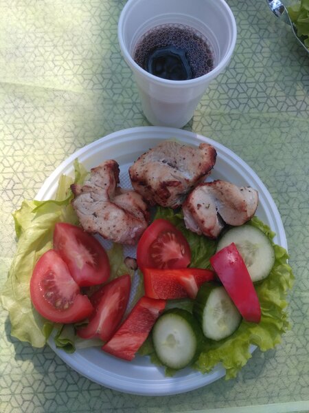 Тарелка с шашлыком и овощами на природе