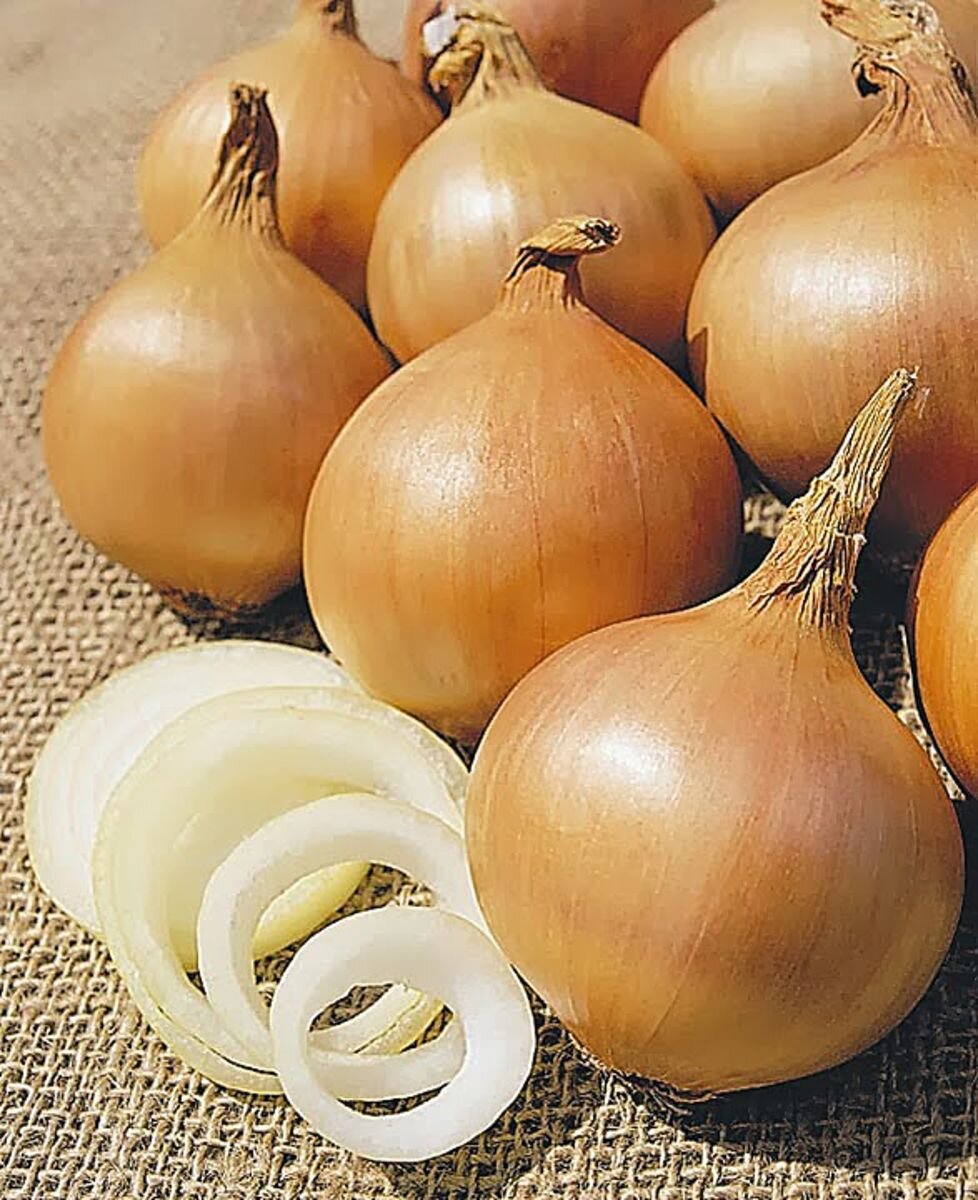 Фото с яндекса.