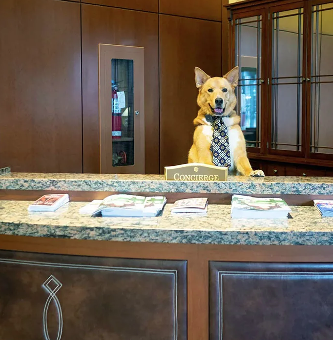 Источник фото: boredpanda.com