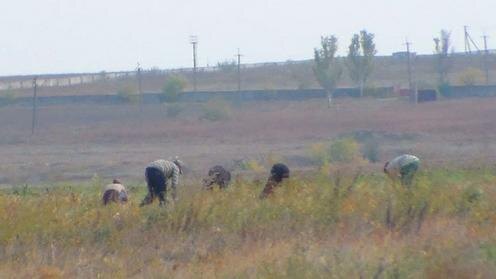  Кадр из видео YouTube-канала Menshov TV