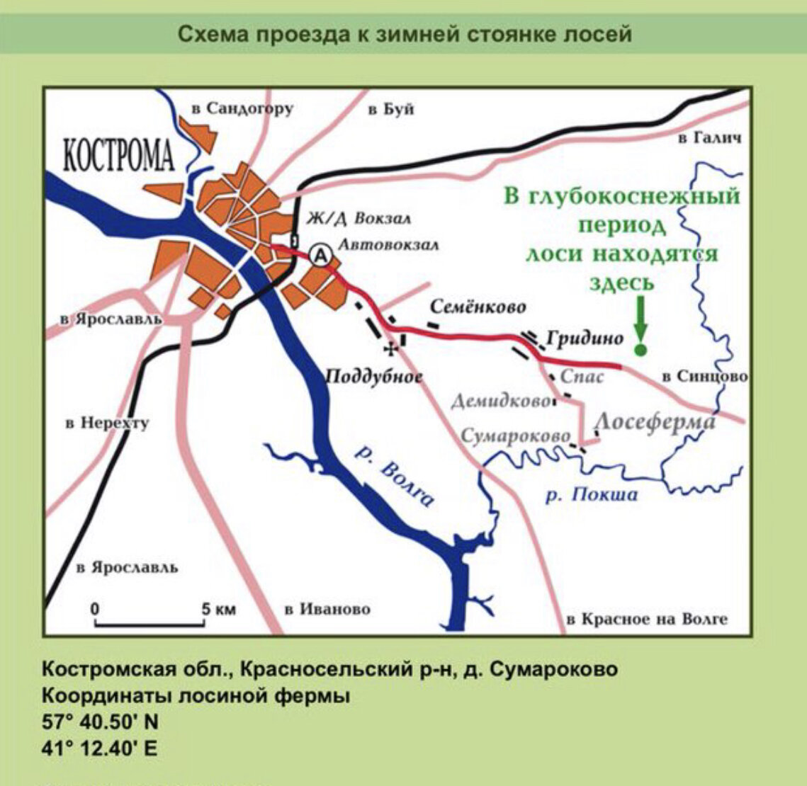 Красное на волге костромская область карта