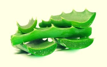 фото взято  с интернета