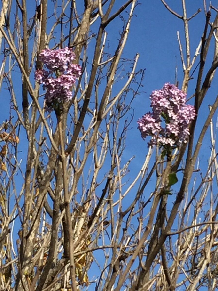 Не правда ли, странновато выглядит?