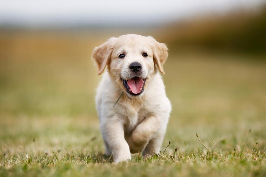 Фото: istock.com
