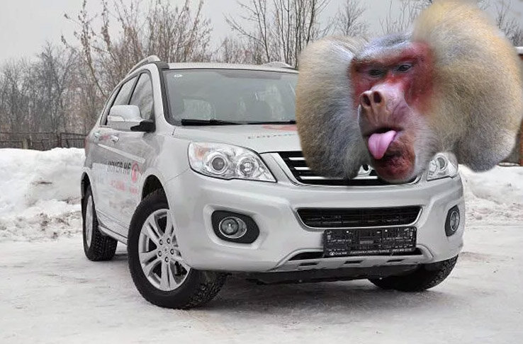 Кот в мешке или первое знакомство с китайским автопромом.