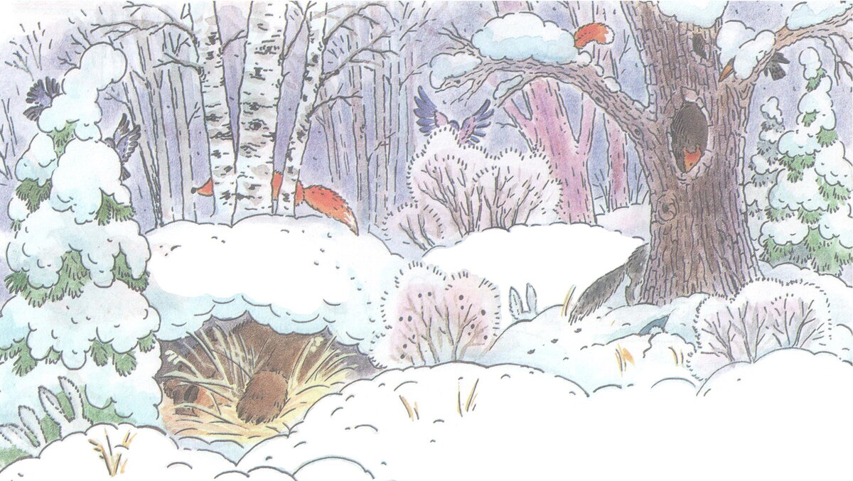 Где прячется зима. Иллюстрация зимнего леса для детей. Сюжетная картина зимний лес. Зимний лес с берлогой. Зимний лес рисунок для детей.
