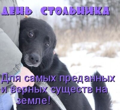 Фото из интернета