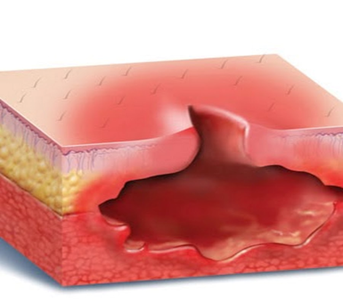 фото из Яндекса