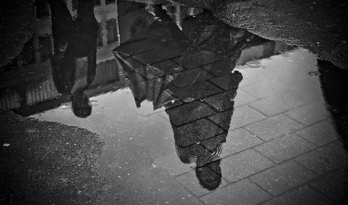 Фото: https://pixabay.com/