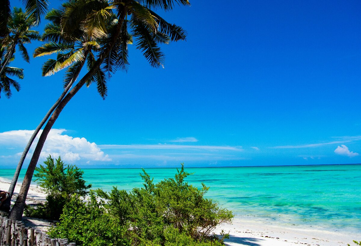 Пляж Джамбиани, о.Занзибар, Танзания