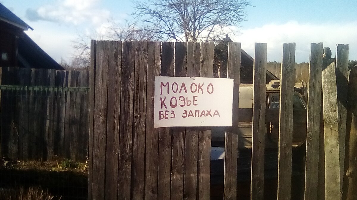 Козье молоко