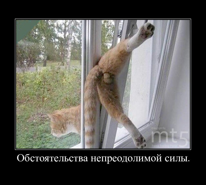 Из открытых источников
