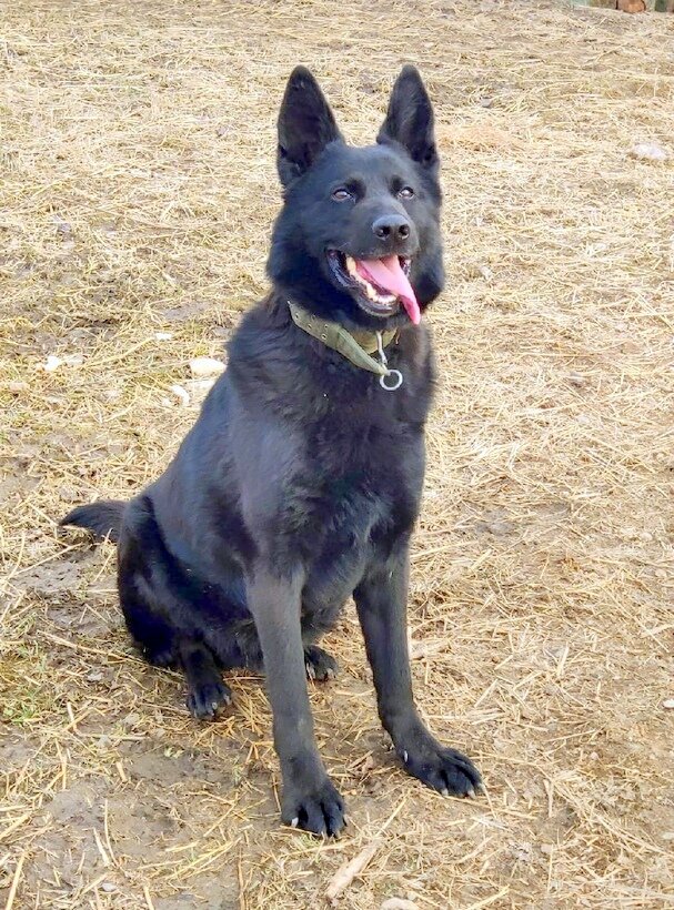 Кто-то теряет, а кто-то находит...