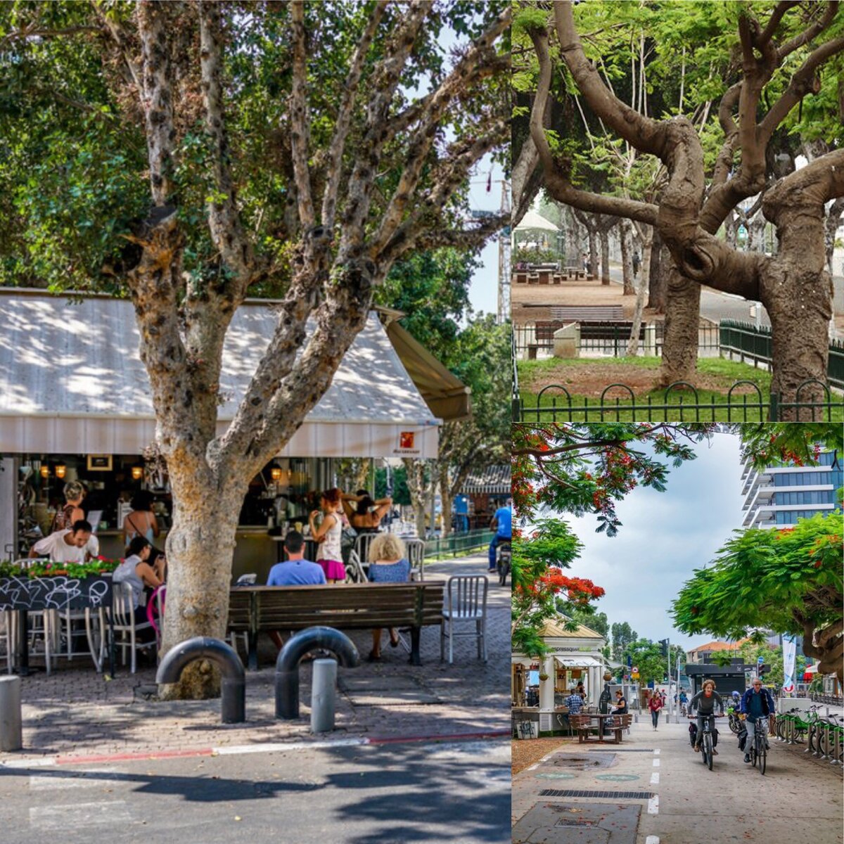 В этом месте каждому найдется занятие по душе в любое время суток: неспешные прогулки вдоль тенистой аллеи, посиделки в уличных кафе или катание на самокатах / велосипедах по специально оборудованным дорожкам