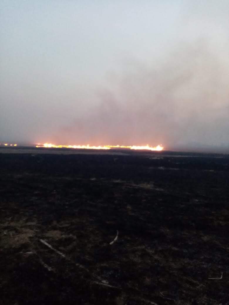 21 апреля пожар двигался в сторону деревни Аул-Шагир Куйбышевского района