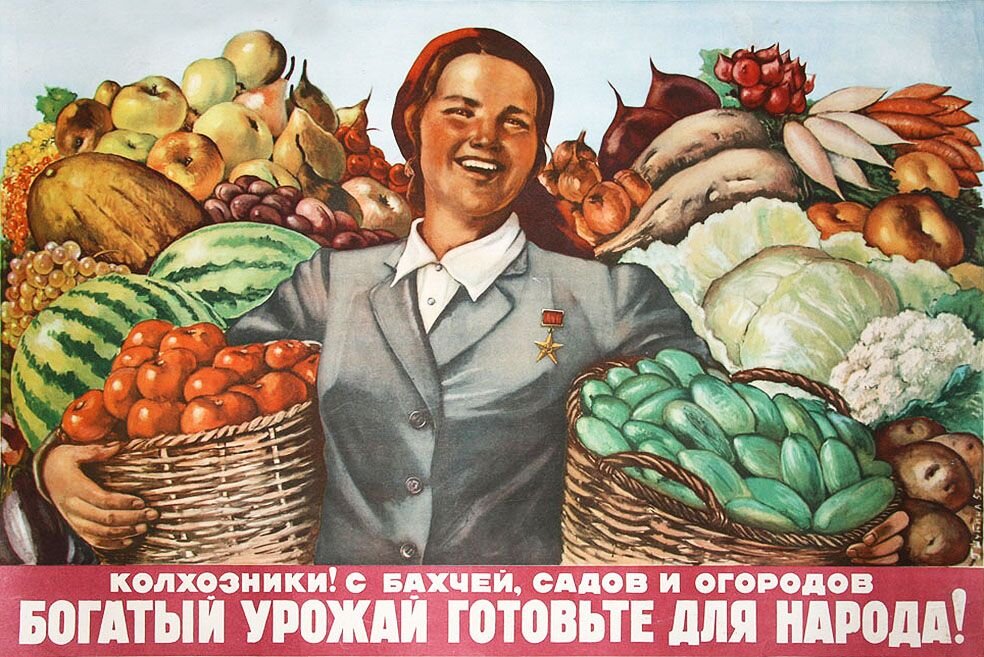 картинка взята из Google картинки