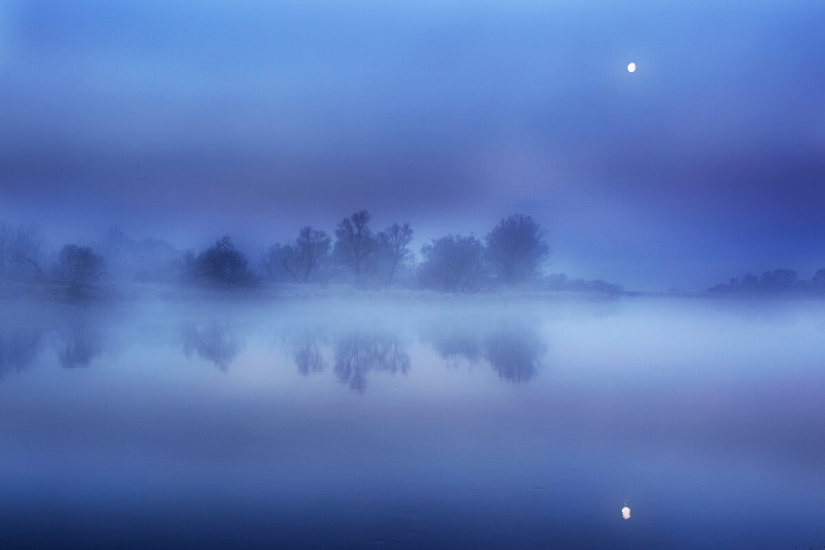 фото из свободного доступа