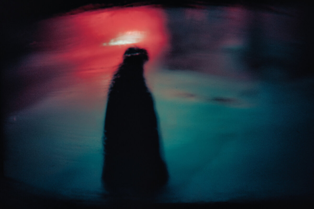 фото: unsplash | открытые источники