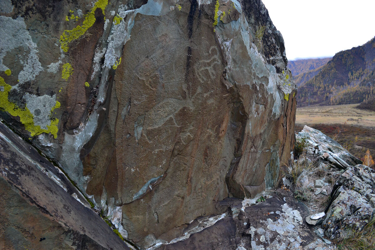 Петроглифы горный алтай фото