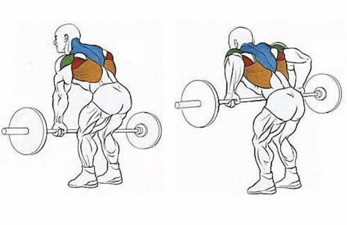 Тяга штанги в наклоне широким хватом