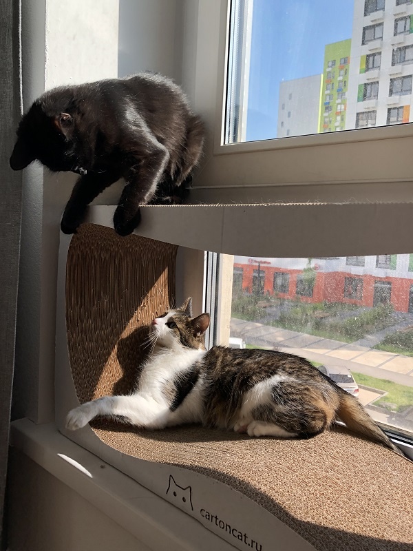 Фото из личного архива