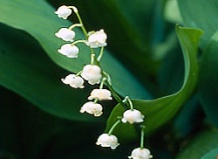 Фото из открытого источника