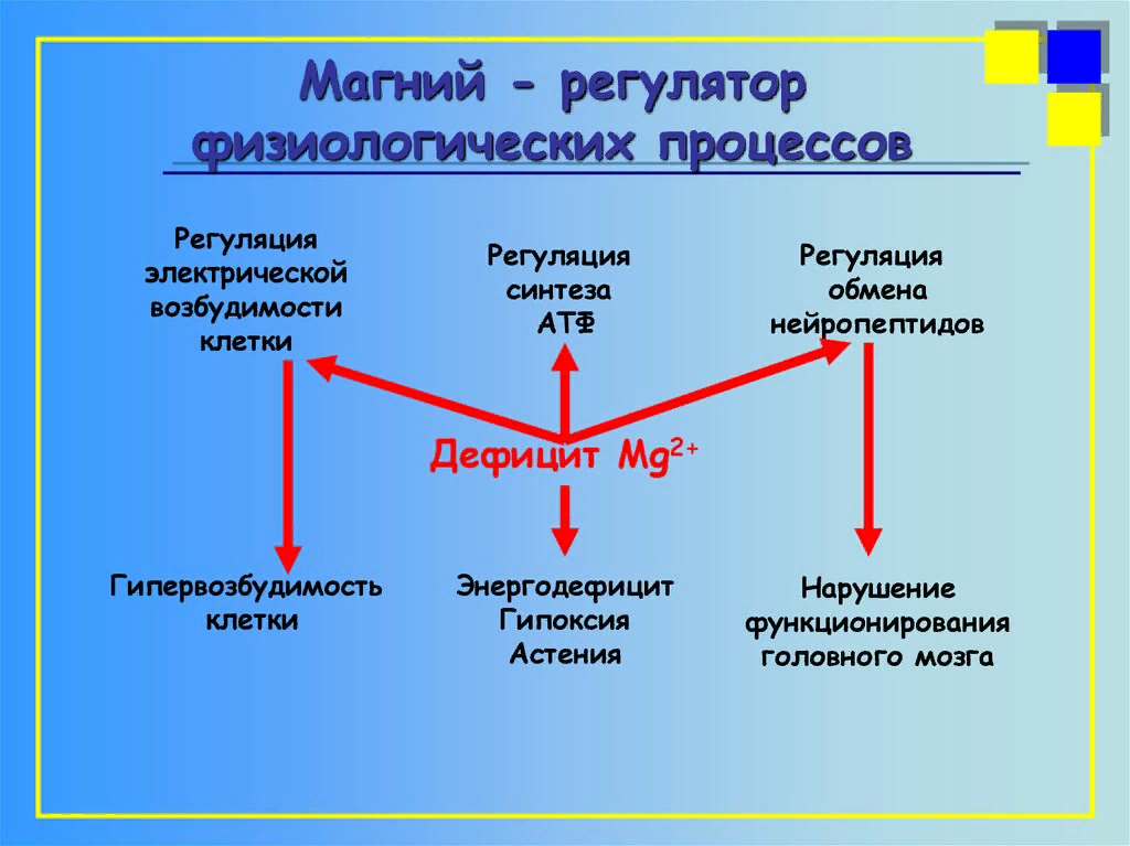 Обмен магния. Магний биохимия. Магний регулятор физиологических процессов. Дефицит магния. Физиологическая роль магния в организме