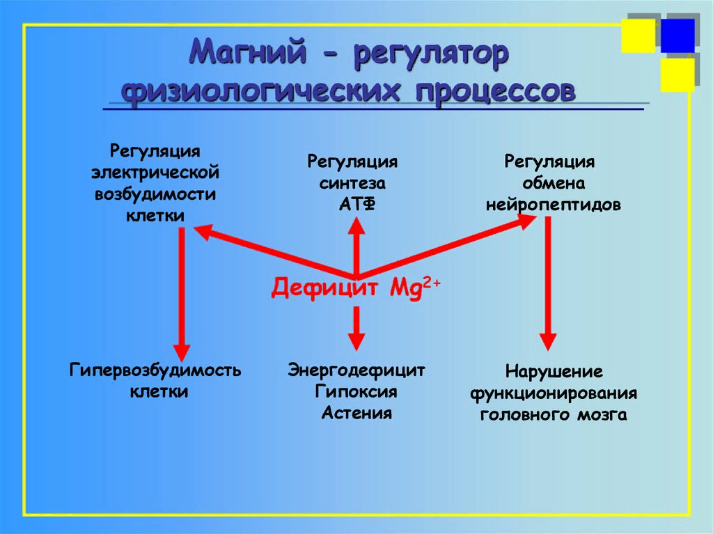 Действие магния. Магний биохимия. Магний регулятор физиологических процессов. Дефицит магния. Физиологическая роль магния в организме.