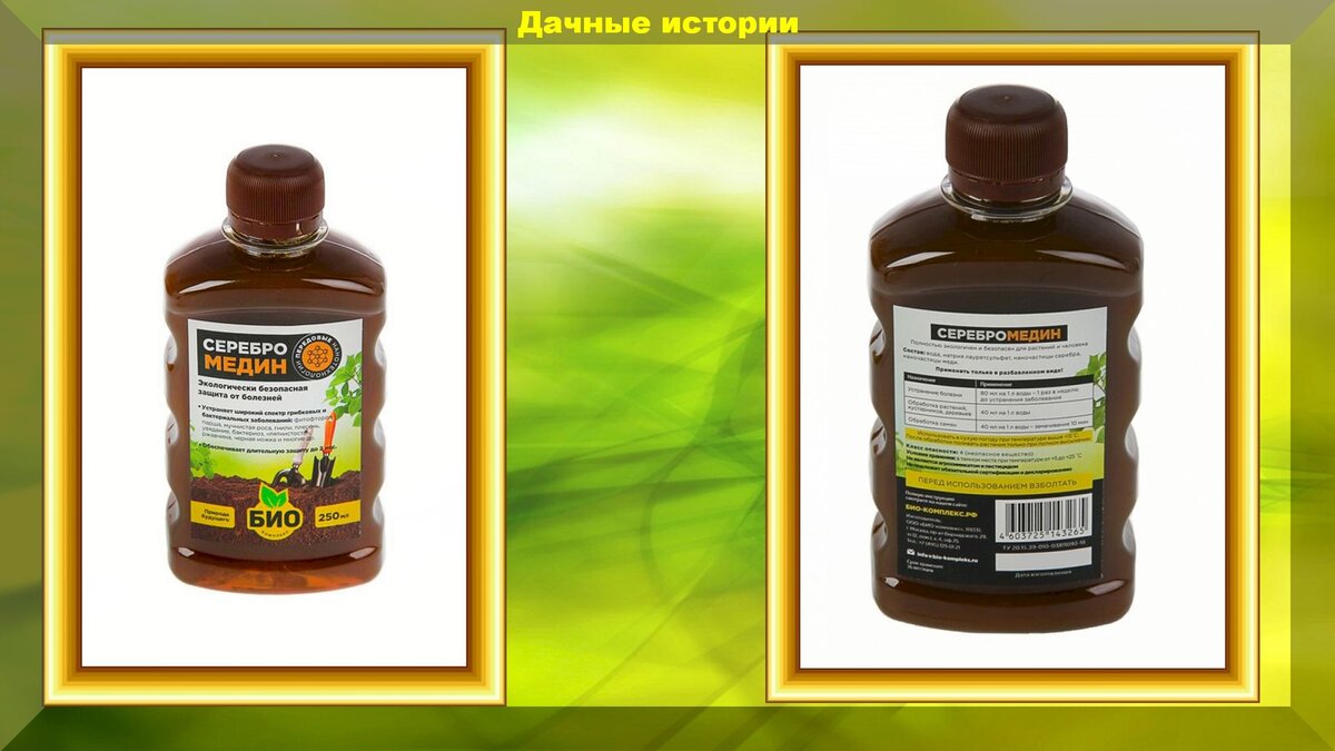 https://vk.com/photo-159774511_457245280