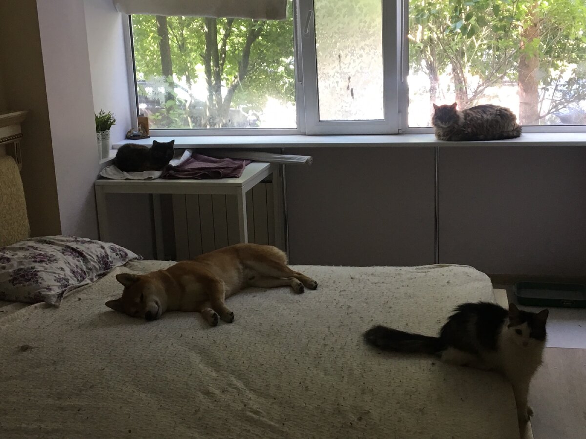 Мои