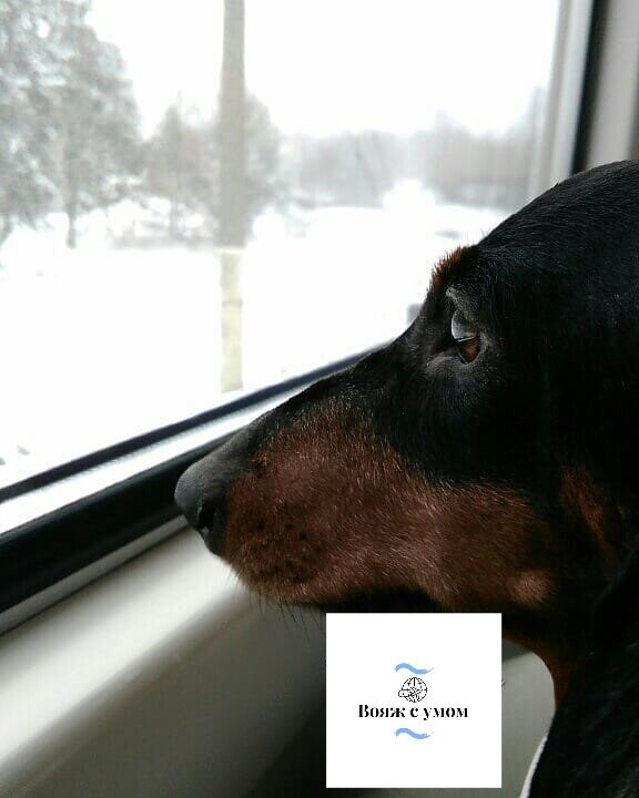 Моя принцесса ❤