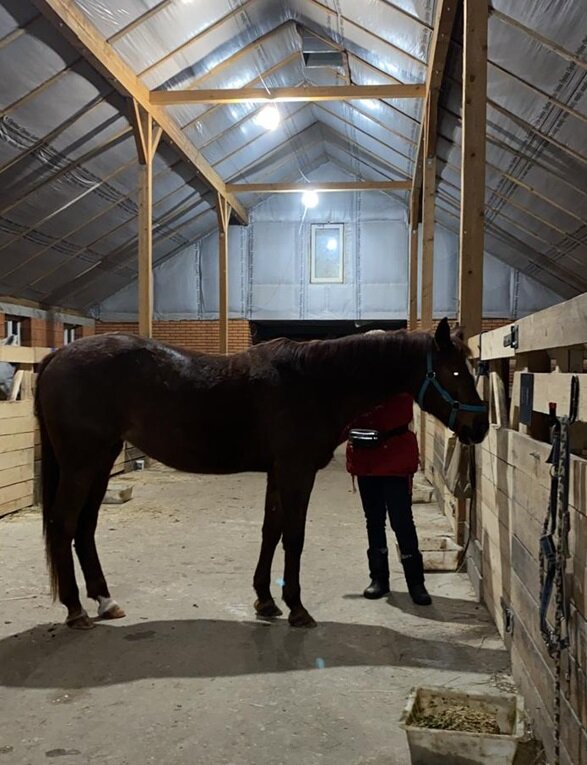 Личное фото