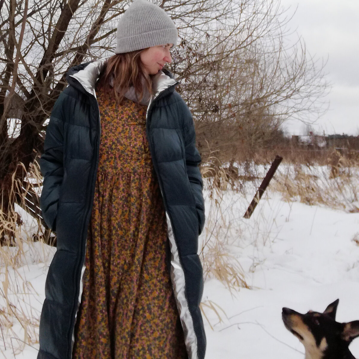 Гуляю с собаками  возле дома