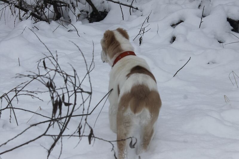 что-то усмотрела, враги наверное там