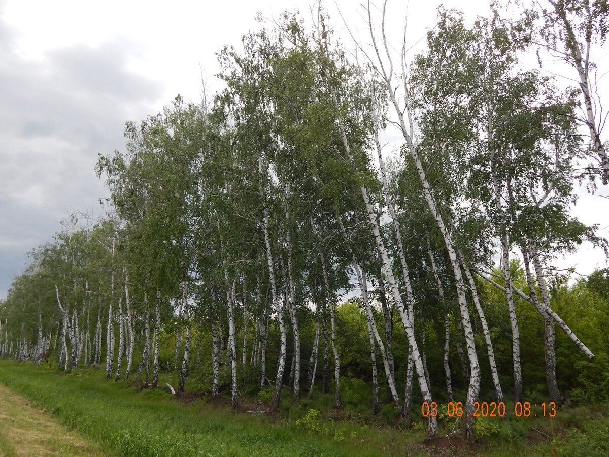 Трасса Курск - Воронеж - Саратов. Как я сфотографировал желающую стать  ночной бабочкой | Дороги России | Дзен