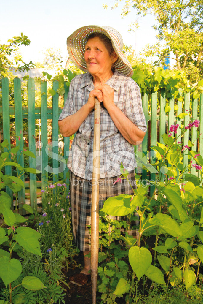 Какой сад был у старушки. Бабушка в огороде. Пожилая женщина в шляпке в саду. Женщина в шляпе в огороде. Бабка в шляпе на даче.