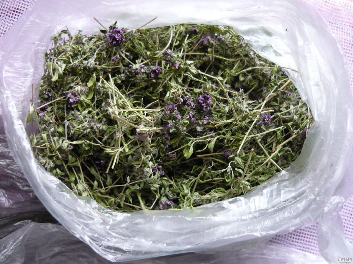 Чабрец сухой.