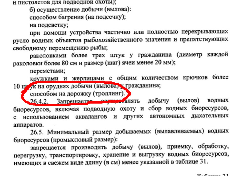 Вот такие вот пироги с котятами )))