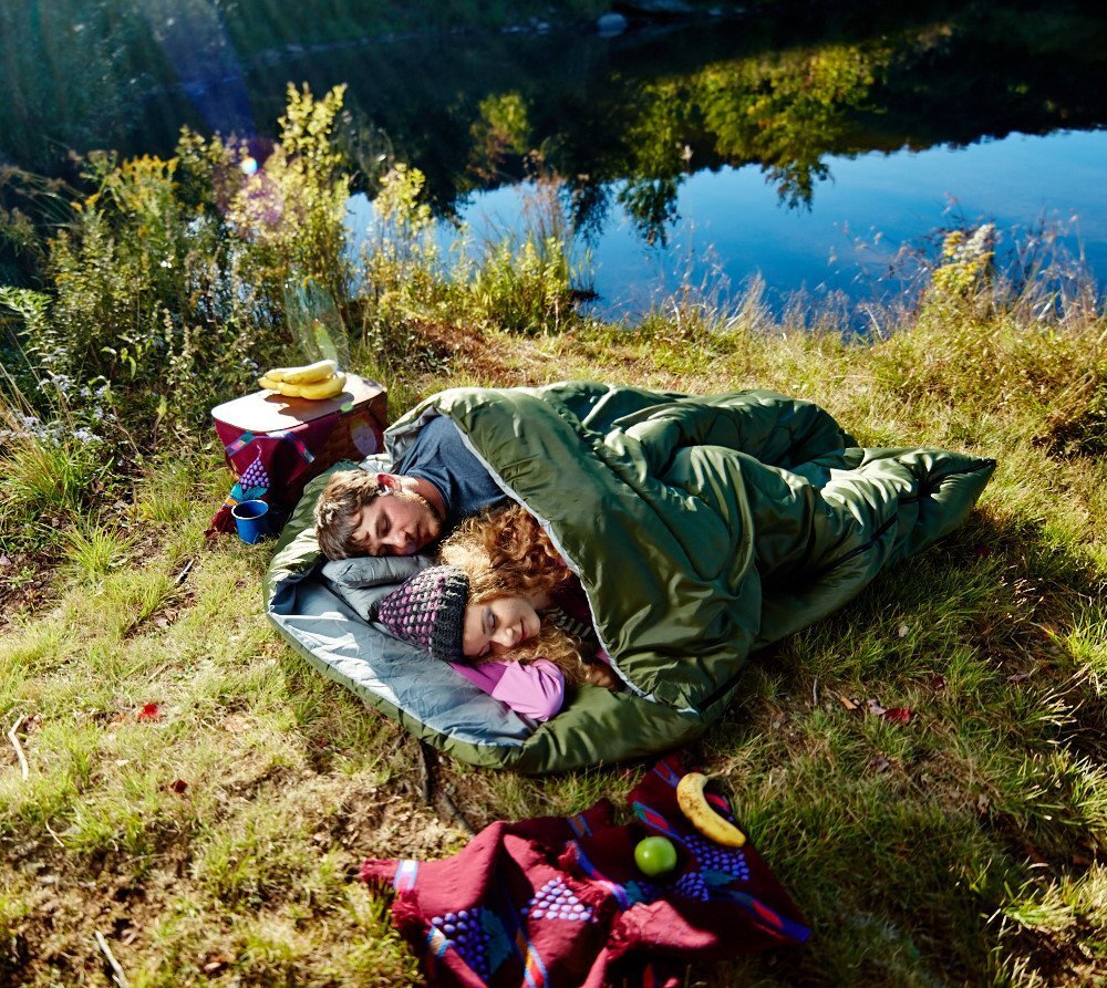 Фото с сайта pixabay