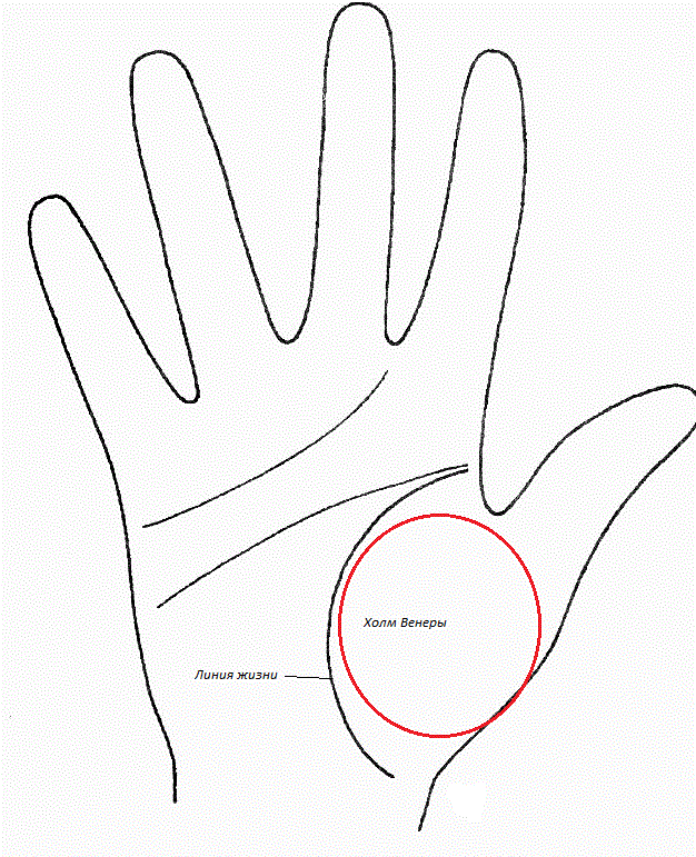 Холм Венеры.